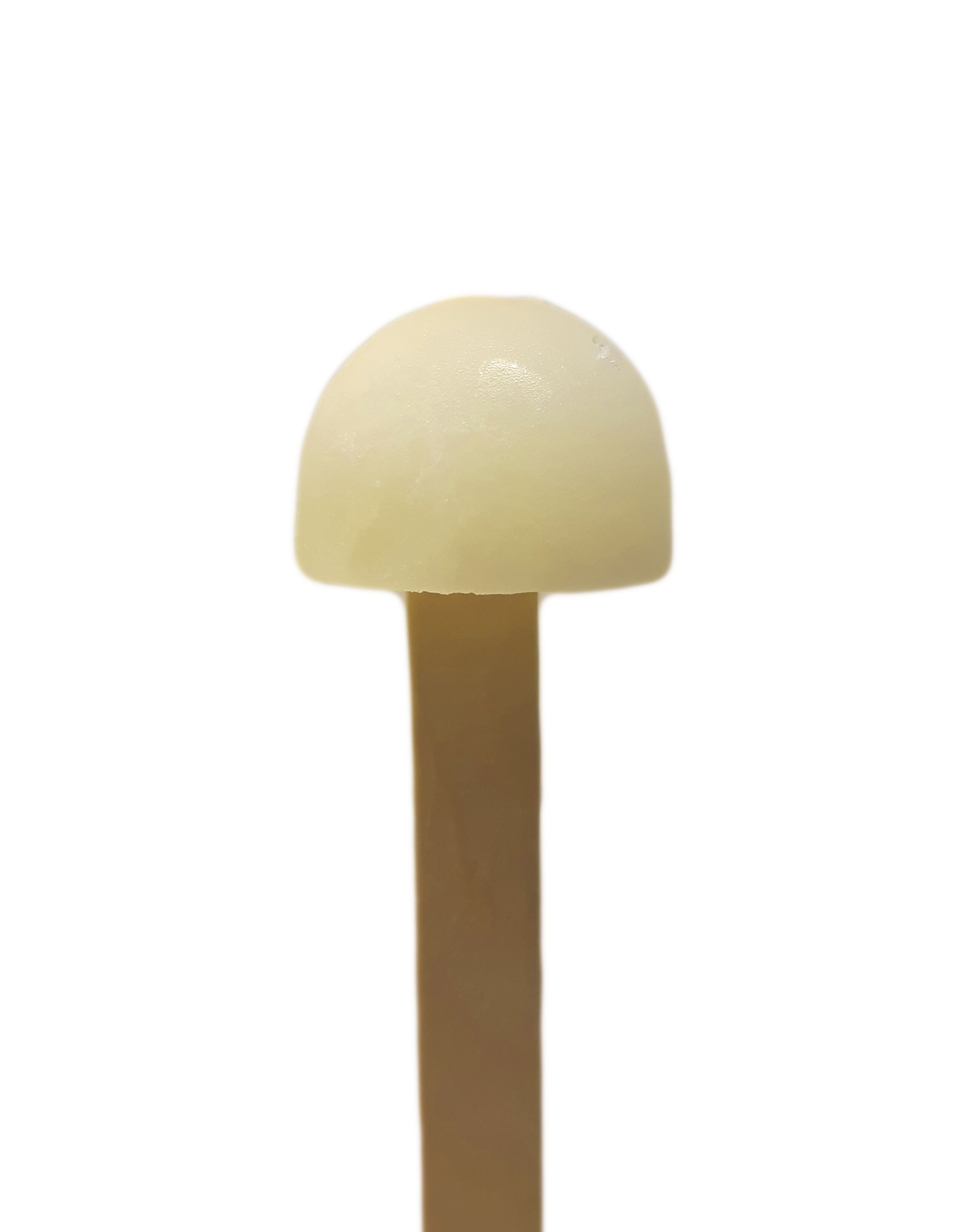 Mini-ijslolly Munt